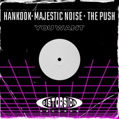 Hankook , Majestic Noise & The Push - You Want
