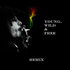 Young, Wild & Free - Remix