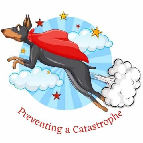 Preventing a Catastrophe