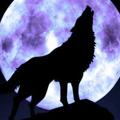 Dizzy III - The Wolf(OUT NOW BASSCLASH)