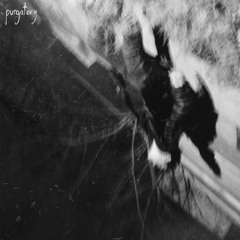 Insects (feat. suisside)