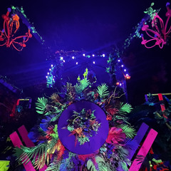 Nocturnal Wonderland (FlashGang) 09.16.2023