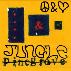 Pinegrove - Need 2 - Jungle Flip - cc0rm