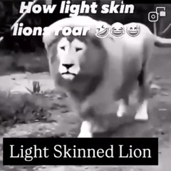@longlivemirri lightskin lion freestyle prod. @friedlettuce #friendgroup #fg2525