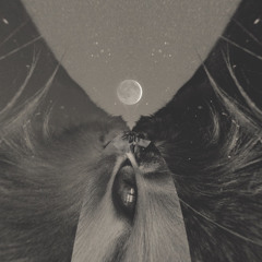 KRYPTCCYNC - Supressed