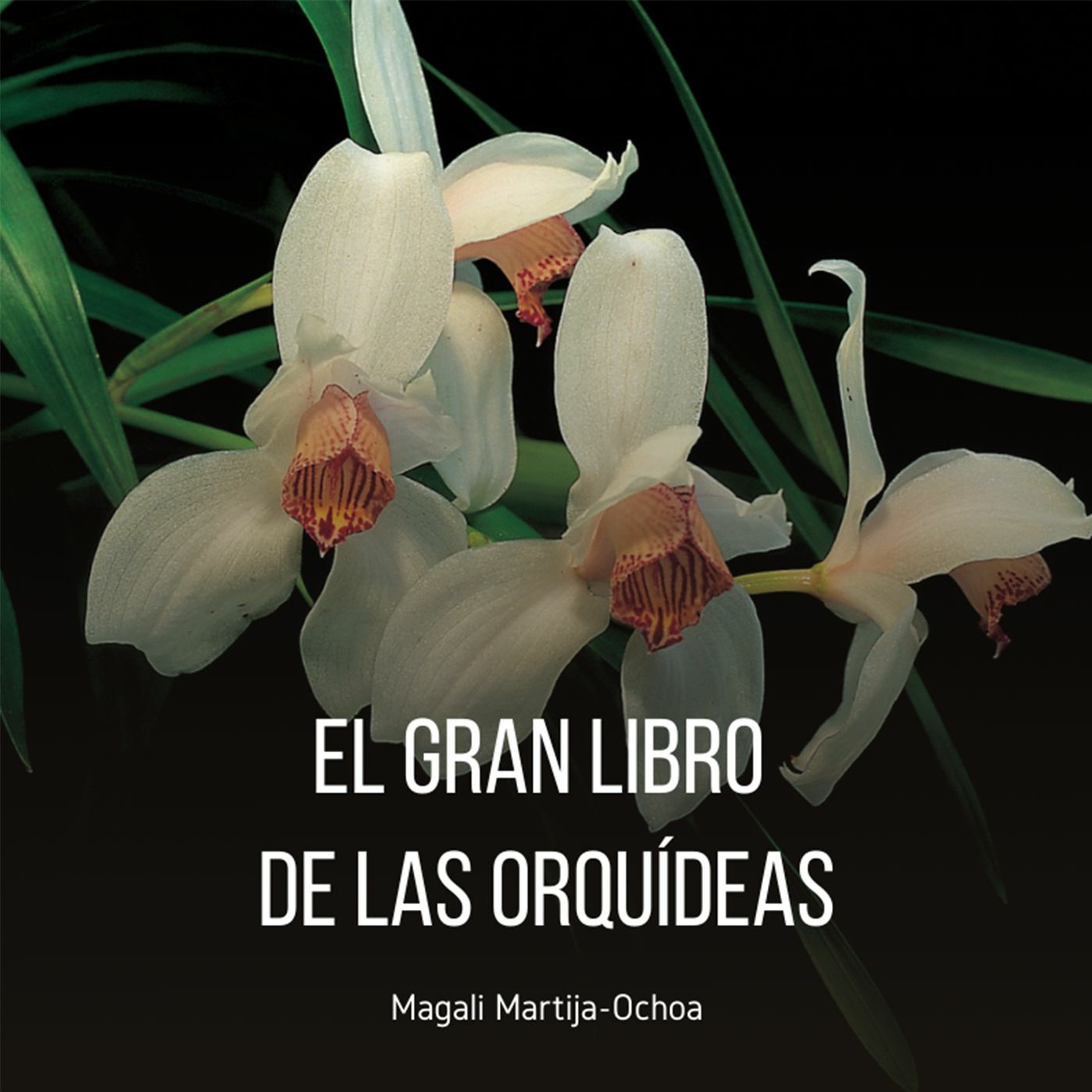 Devecchi Ediciones