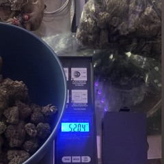 Not like me (Feat. Squil4evageeked)