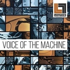 Free Download Looptone Voice of the Machine