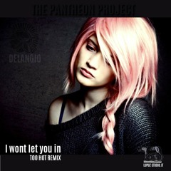 I Wont Let You In-THE PANTHEON PROJECT/Delangio