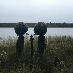 Quiet night at Lintulampi Lake (FI)