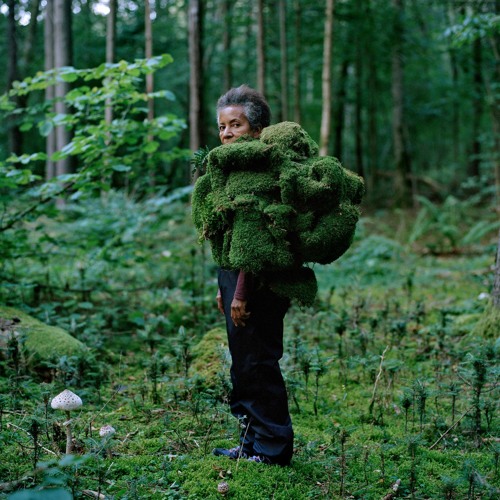 Stream Plants Are Living Things Too, Baby by justfelix Listen online for free on SoundCloud