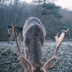 DECEMBER
