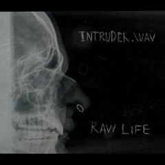 Intruder.wav - Raw Life