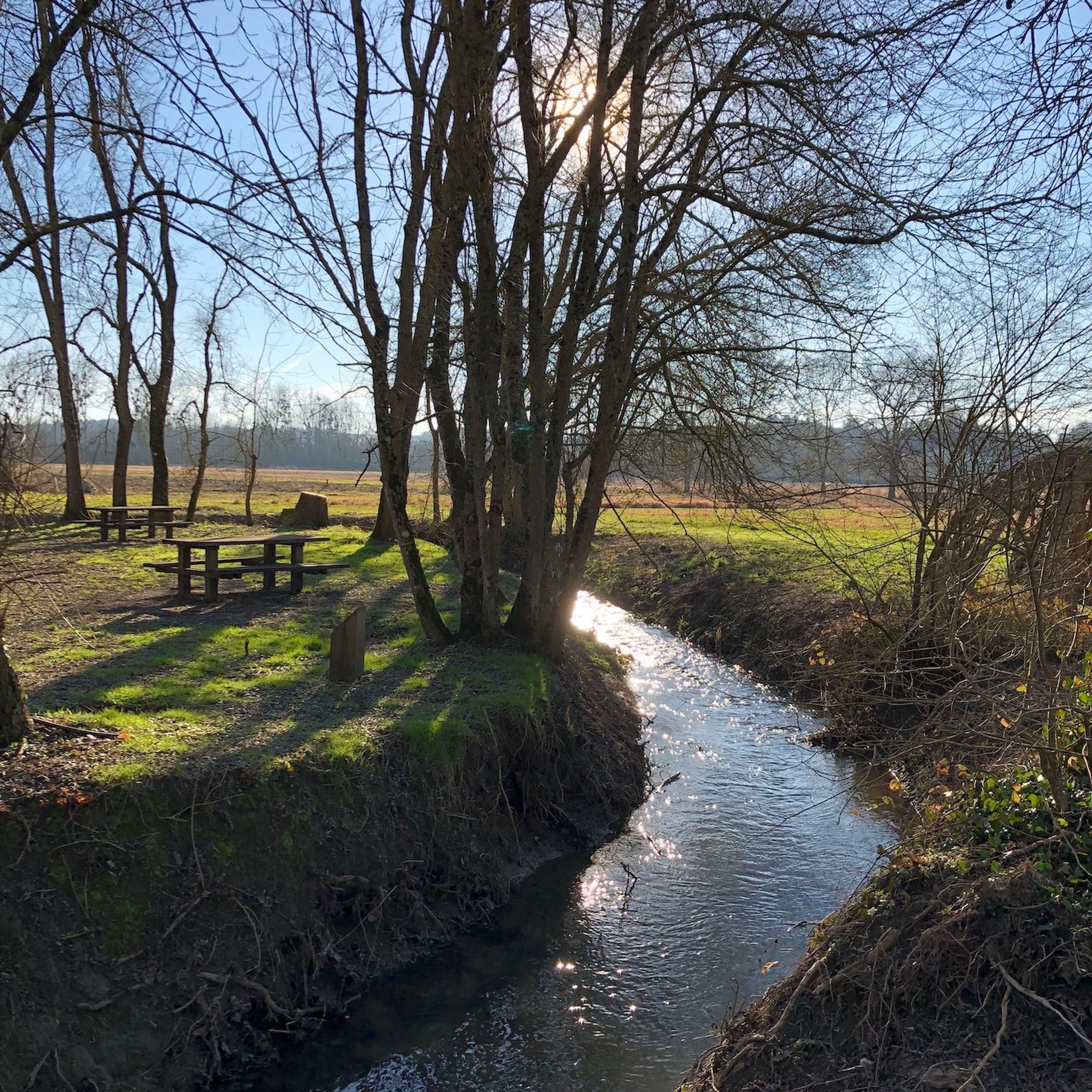 Episode 1 - Le "pourquoi"  d'un rééquilibrage alimentaire