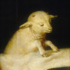 iamamountain-roughmix1