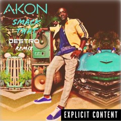 Akon - Smack That (Destro  Remix)[FREE DOWNLOAD]