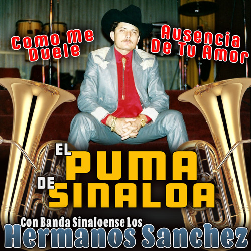 Listen to Como me duele by El Puma De Sinaloa in Como Me Duele playlist  online for free on SoundCloud