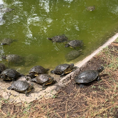 WIP - Playlist - Indie, Electronic, Triphop