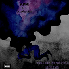 Tell Me How You Feelin (ft Jacobi Isaiah)