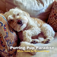 Bark Bliss: Soothing White Noise for Dogs