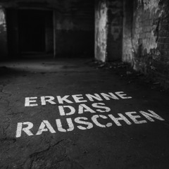 Erkenne das Rauschen
