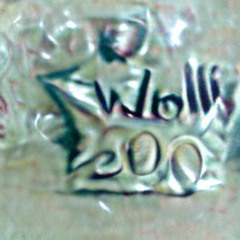 Wolli - 2000 Wollis