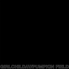 Pumpkin Field (Single Edit)