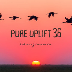 Pure Uplift 36
