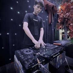 NST VIETMIX 2K25 BI BÉ BỎNG VOL3 CUBI GÒ VẤP