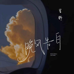 晚风告白 (DJ铁柱版)