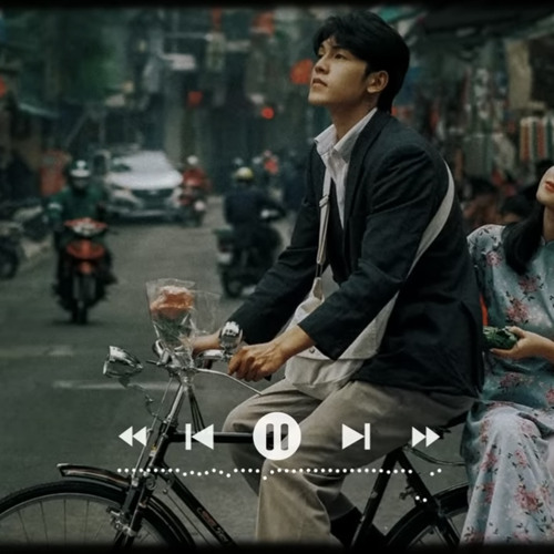 Lỡ Yêu Người Đậm Sâu - Cánh Hoa Tàn Tình Tan - Chạnh Lòng Thương Cô - Anh Yêu Vội thế (Lofi Chill)