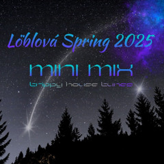 Spring 2025 Mini Mix