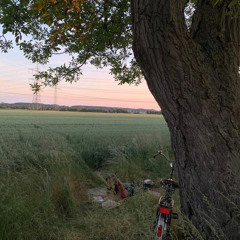 all in ur head #THEBUGCOLLECTOR