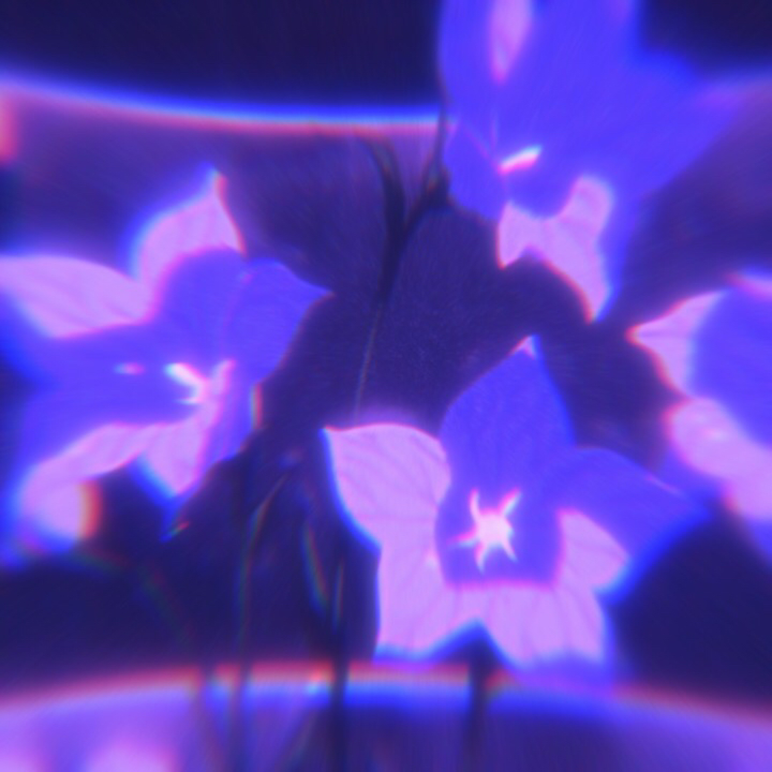 Ibshap-field of violets (Doom-Five Remix) episode artwork