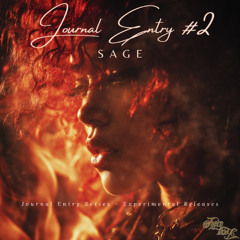 SAGE - Journal Entry #2