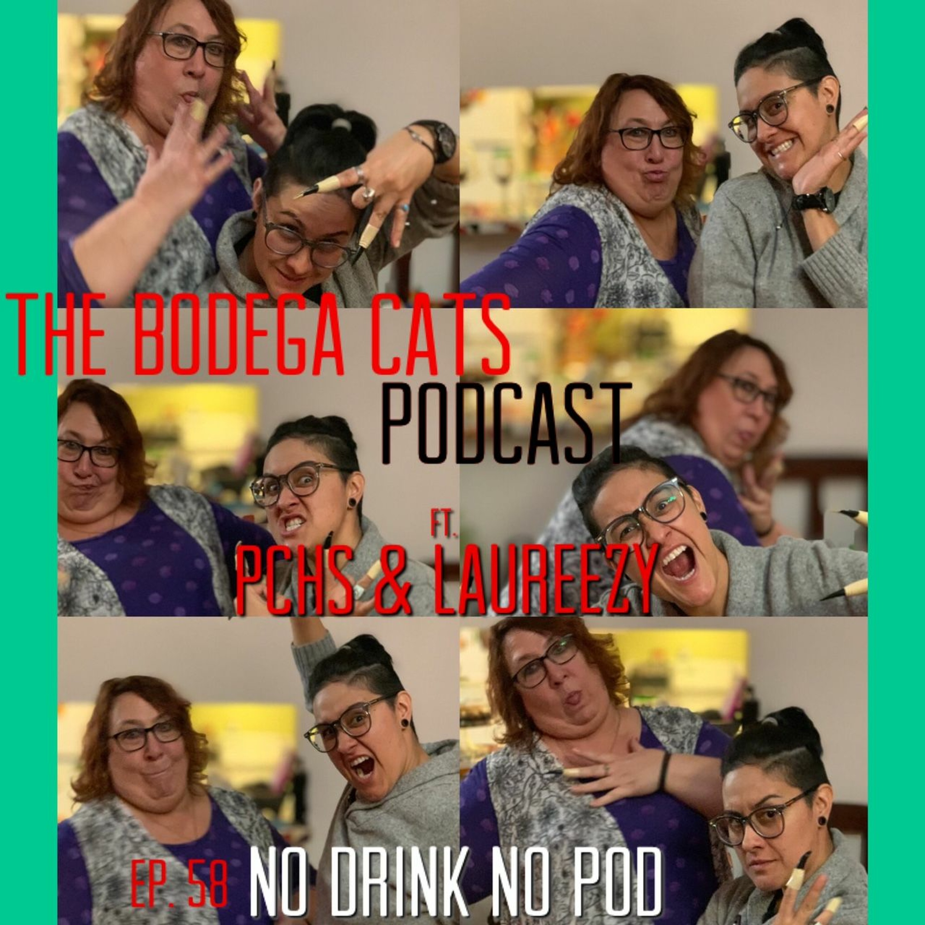 The Bodega Cats Podcast