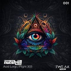 Nutshell - Flight 303 ( Original Mix)