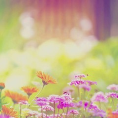 To Bless the Space Between Us (Rabbi Sacks on Vayera, Covenant & Conversation)