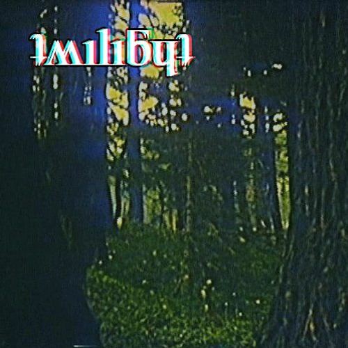 twilight