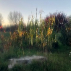 puddleJumping theme