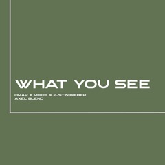 Omar x Migos & Justin Bieber - What You See Blend Axel