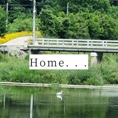 Accident - Home