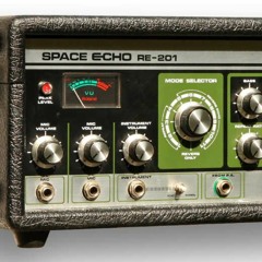 Roland Space Echo
