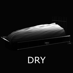 Trumpet Dry