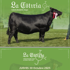 Günther Rotzinger 291025