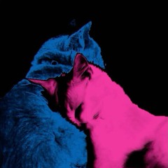 Late Night Vibe Playlist 🌙 | Rock & Pop & Indie Mixsets