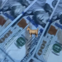 dead presidents