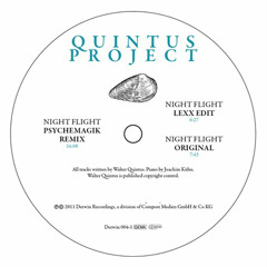 Night Flight (Psychemagik Remix)
