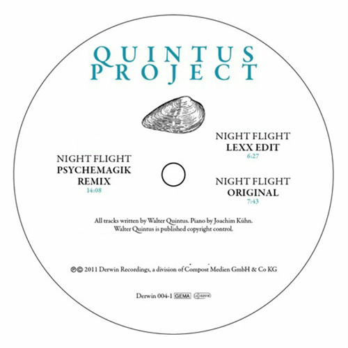 Night Flight (Psychemagik Remix)