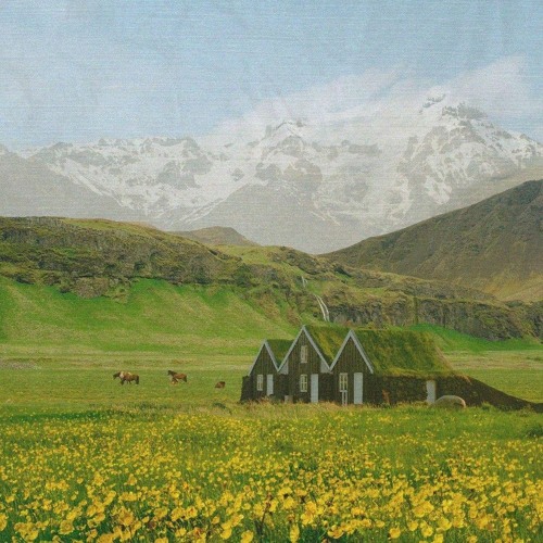 Em vui vì đối với em, em là đóa hoa đẹp nhất